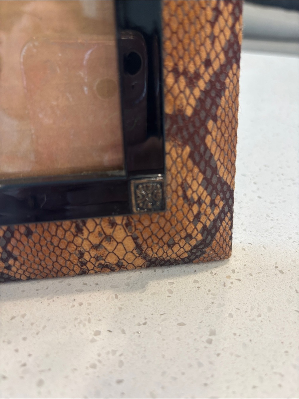 Vintage Python Snakeskin Pattern Picture Frame • Black Enamel Inner Border - Picture 2 of 3